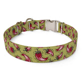 Hot Peppers Sterling Premium Dog Collar